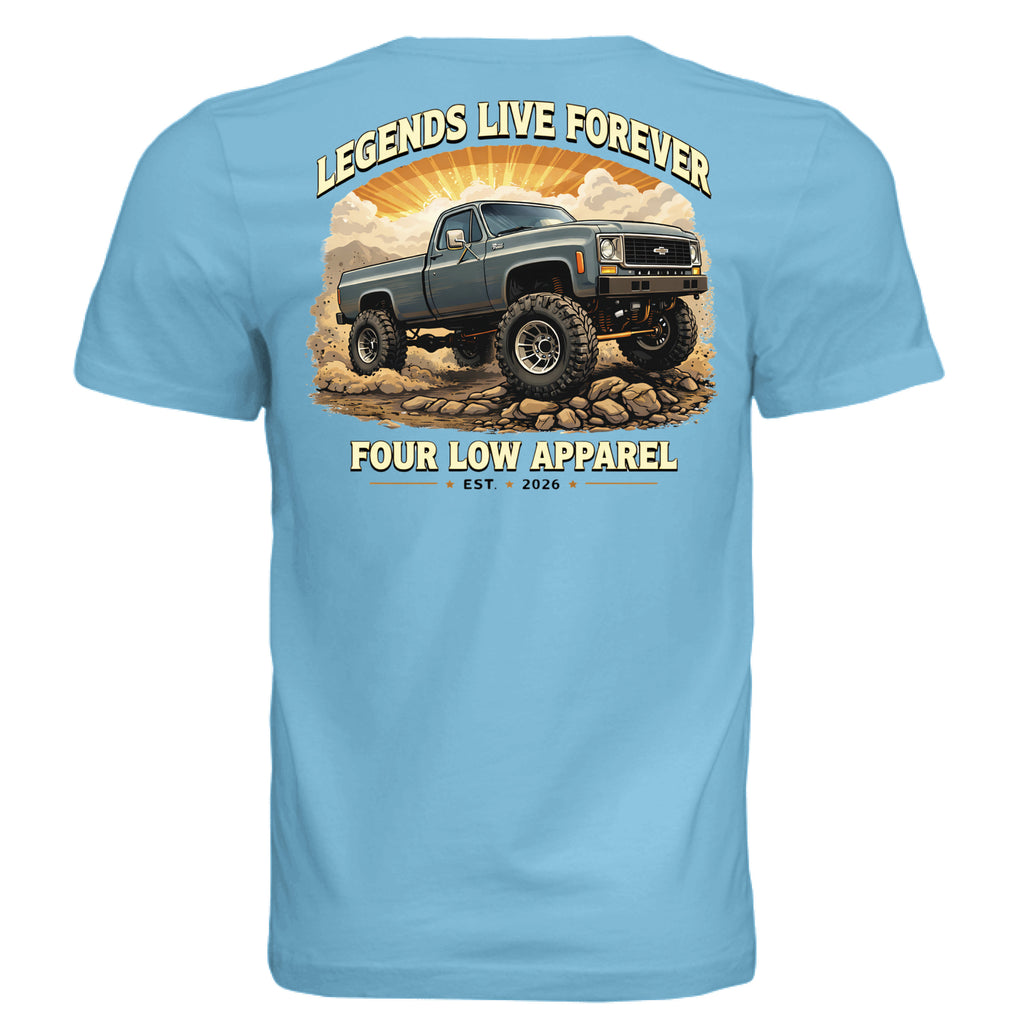 TURQUOISE - BACK
